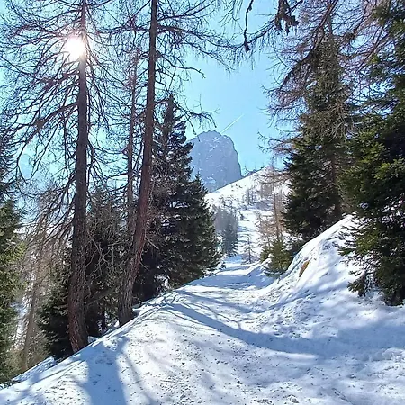 Апартаменты Goetzner Auszeit