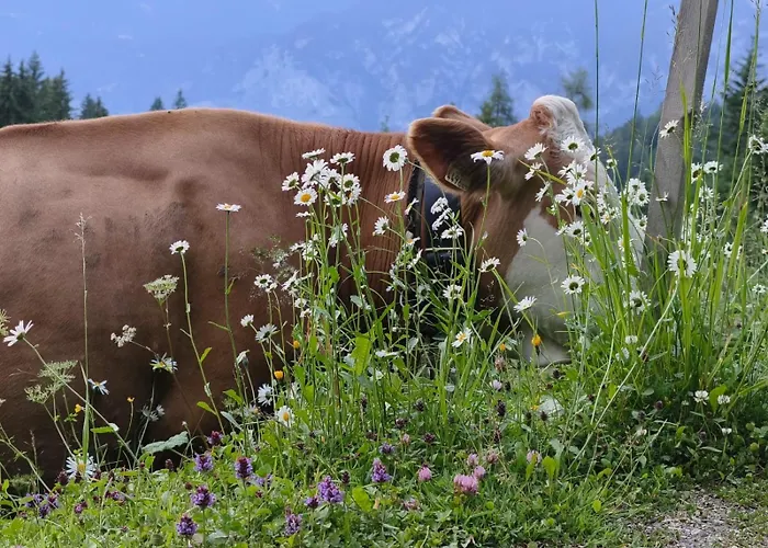Goetzner Auszeit Appartamento Innsbruck