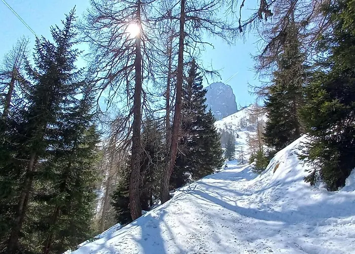 Goetzner Auszeit Інсбрук