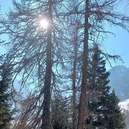 Appartement Goetzner Auszeit