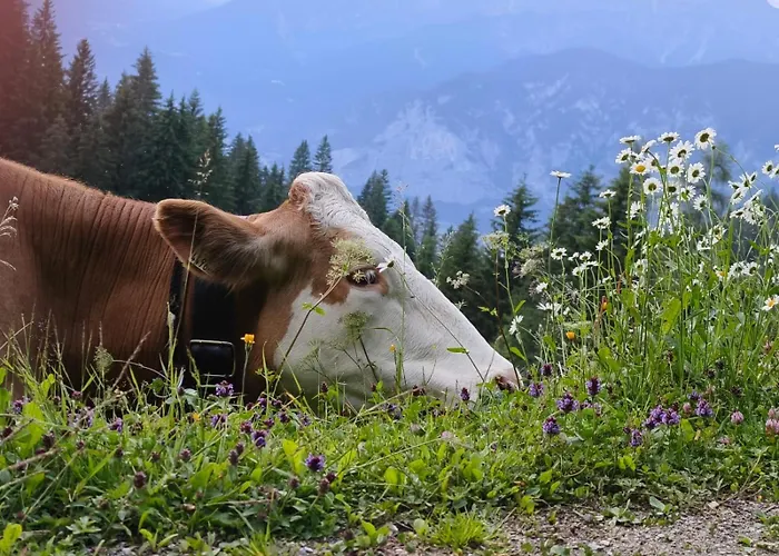 شقة Goetzner Auszeit